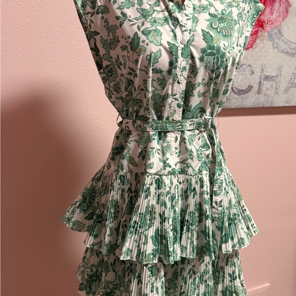 Anthropologie Current Air Green Floral Micro Ruffle Dress M - Picture 3 of 10